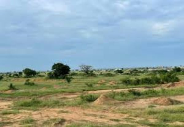 Land for Sale in Danchira – Prime Investment Opportunity - Image 2