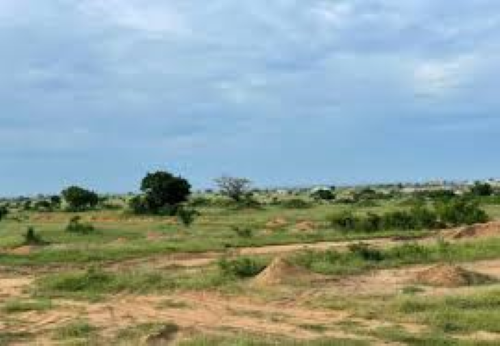 Land for Sale in Danchira – Prime Investment Opportunity - Image 4