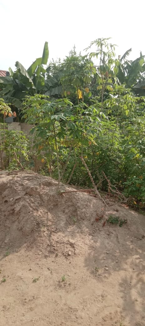 Uncompleted 3-Bedroom House For Sale - Image 10