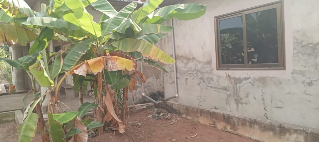 Uncompleted 3-Bedroom House For Sale - Image 9